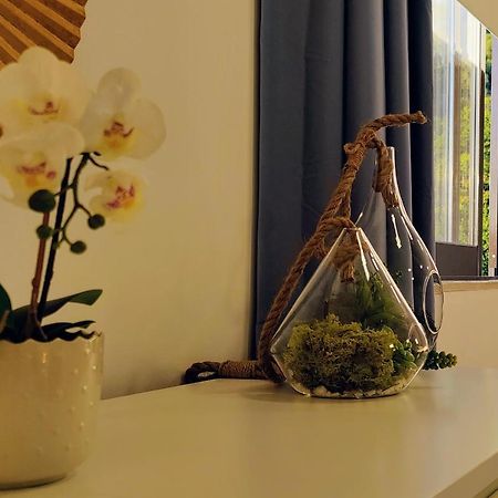 Stylish And Elegant Studio - Best View And Location In Coimbra Downton Eksteriør bilde