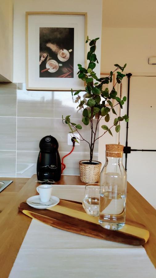 Stylish And Elegant Studio - Best View And Location In Coimbra Downton Eksteriør bilde